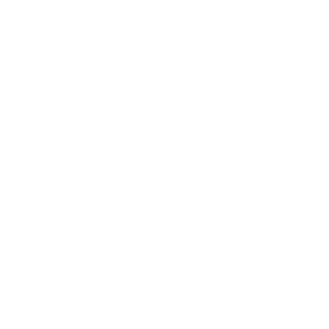 X (Twitter)